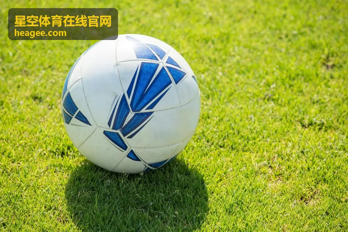 星空体育在线官网账号与多端同步设置界面